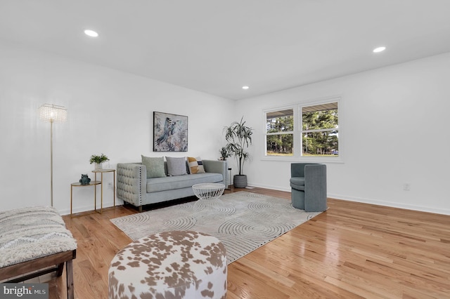 living room featuring light hardwood / wood-style floors