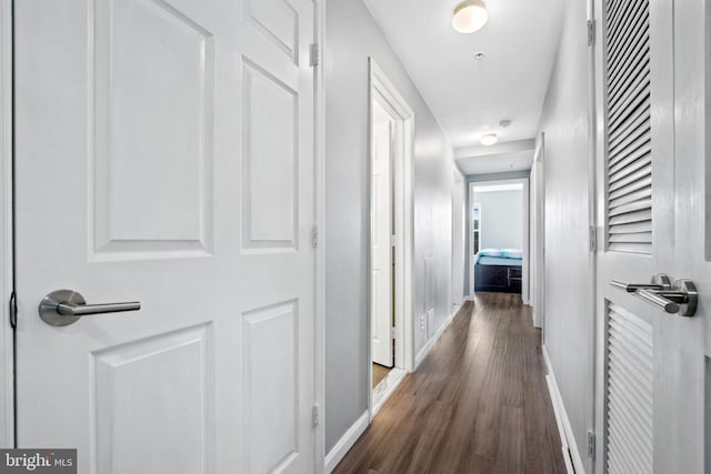 hall featuring dark hardwood / wood-style floors