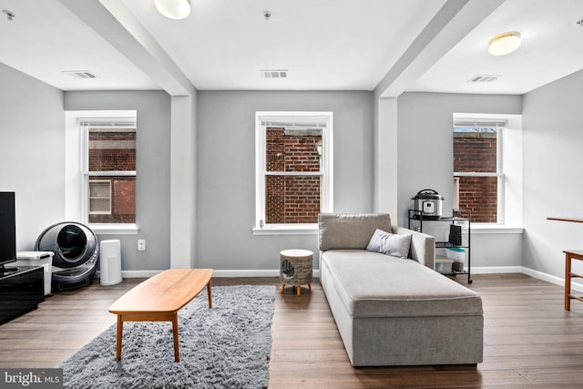 living area featuring hardwood / wood-style floors and a wealth of natural light