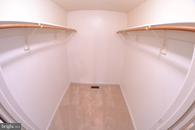 spacious closet featuring carpet flooring