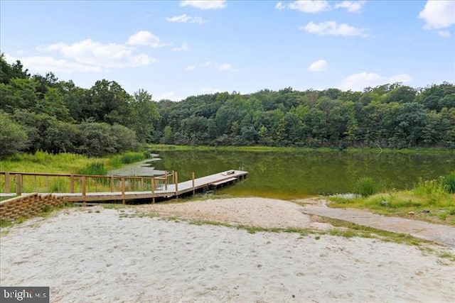 view of home's community featuring a water view and a dock