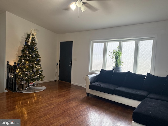 living room featuring ceiling fan and dark hardwood / wood-style flooring