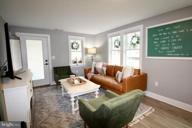 living room featuring hardwood / wood-style flooring