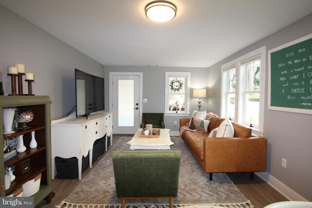 living room featuring hardwood / wood-style floors