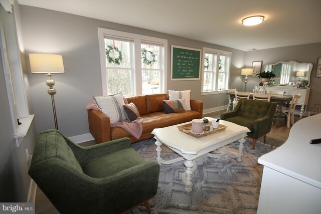 living room with wood-type flooring