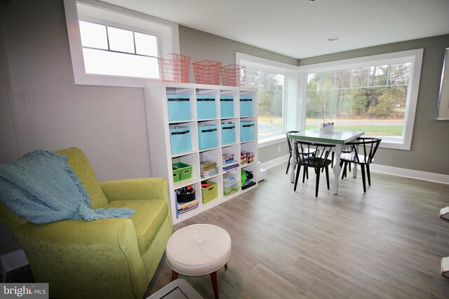 interior space featuring wood-type flooring