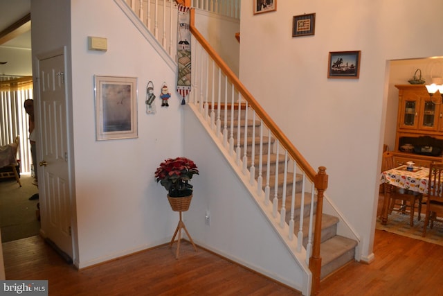 stairway featuring wood-type flooring