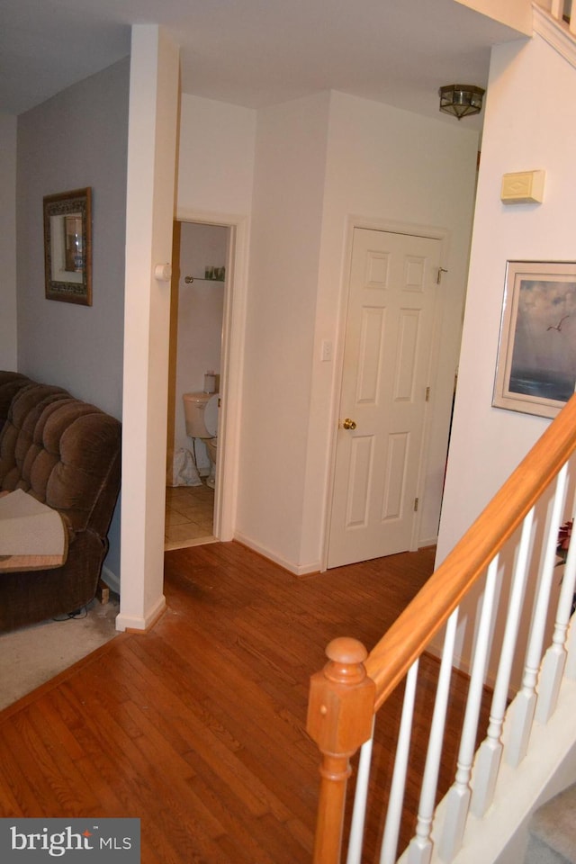 hallway featuring wood-type flooring