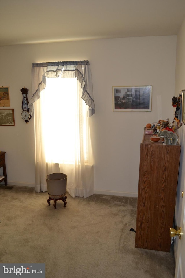 living area featuring carpet flooring