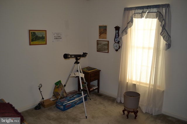 miscellaneous room with carpet