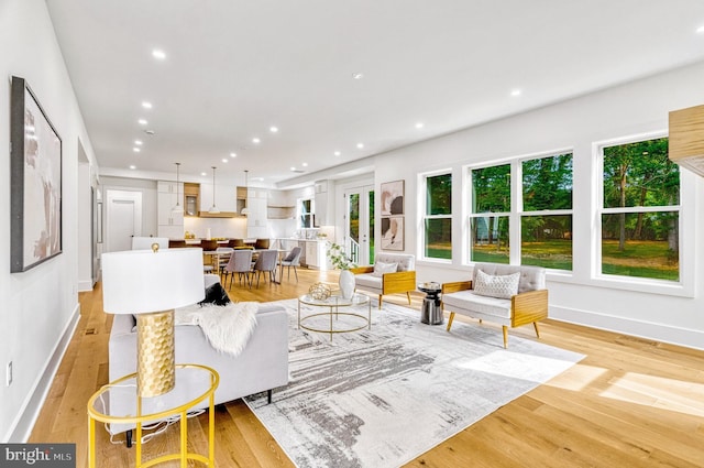 living room with light hardwood / wood-style floors