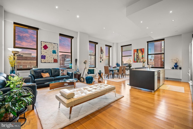 living room featuring sink and light hardwood / wood-style flooring