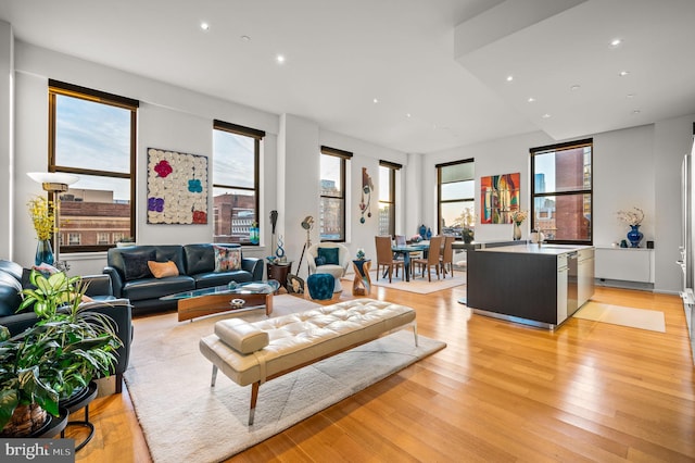 living room with a wealth of natural light, sink, and light hardwood / wood-style floors