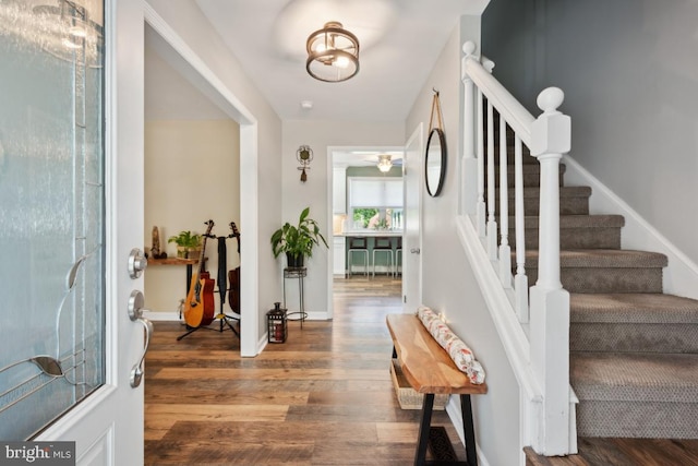 foyer entrance with dark wood-type flooring