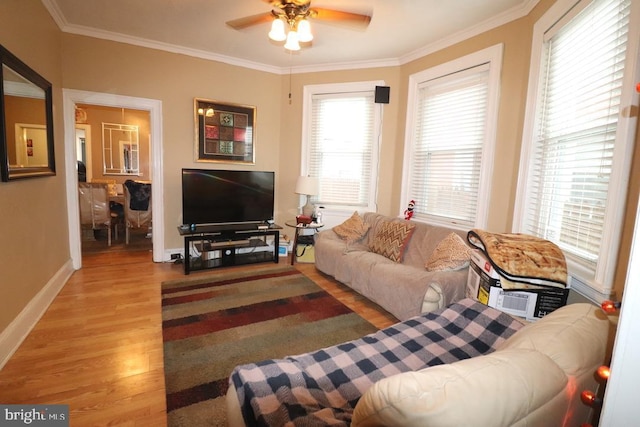 living room with ceiling fan, wood-type flooring, and ornamental molding