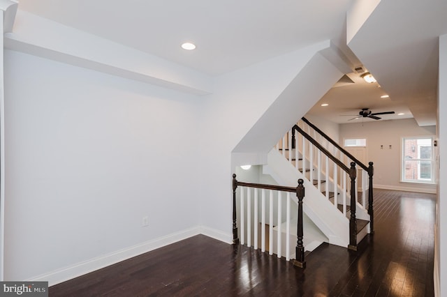 stairway featuring hardwood / wood-style floors and ceiling fan