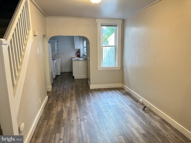 interior space with sink, crown molding, and dark wood-type flooring