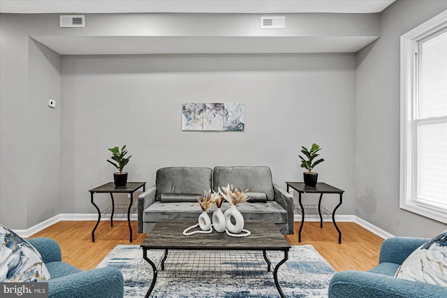 living room featuring a healthy amount of sunlight and wood-type flooring