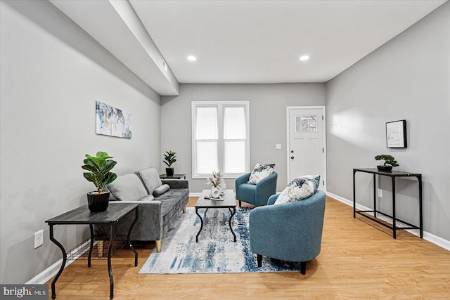 living room featuring hardwood / wood-style flooring