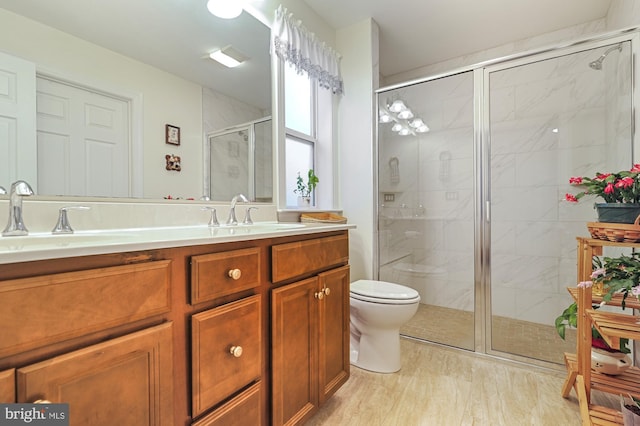 bathroom with vanity, toilet, and a shower with door