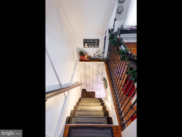 stairway with hardwood / wood-style floors