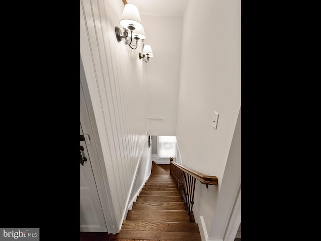 stairway featuring wood-type flooring