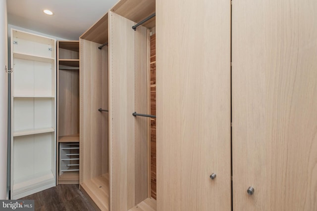 spacious closet with dark wood-type flooring