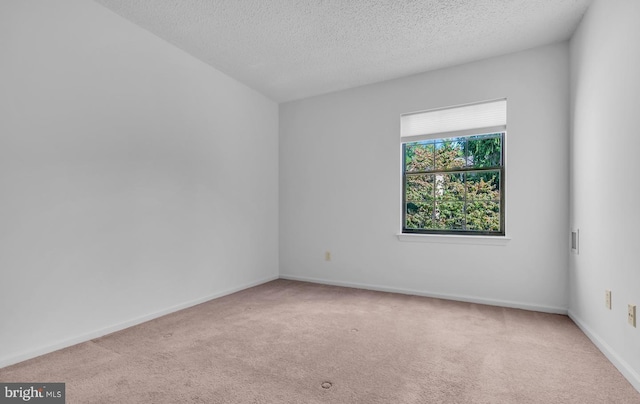 unfurnished room featuring light colored carpet and a textured ceiling