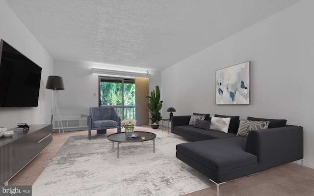 carpeted living room with a textured ceiling