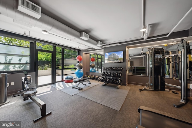 gym featuring floor to ceiling windows and carpet