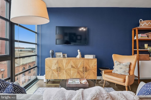 living room featuring wood-type flooring