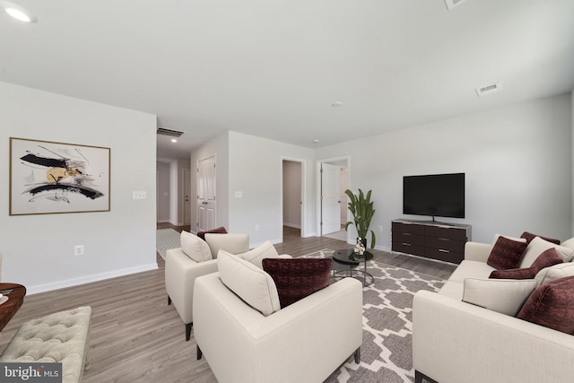 living room featuring wood-type flooring