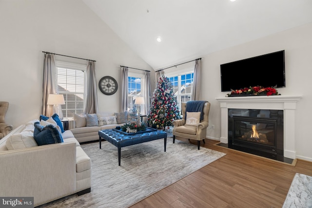 living room with lofted ceiling and wood-type flooring