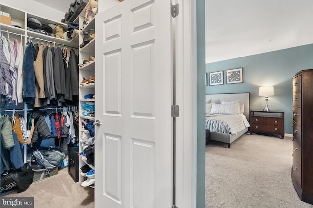 walk in closet featuring light colored carpet