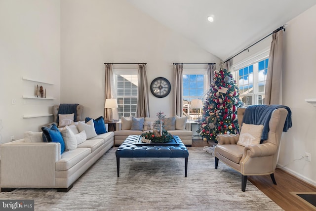 living room featuring hardwood / wood-style flooring, high vaulted ceiling, and a wealth of natural light