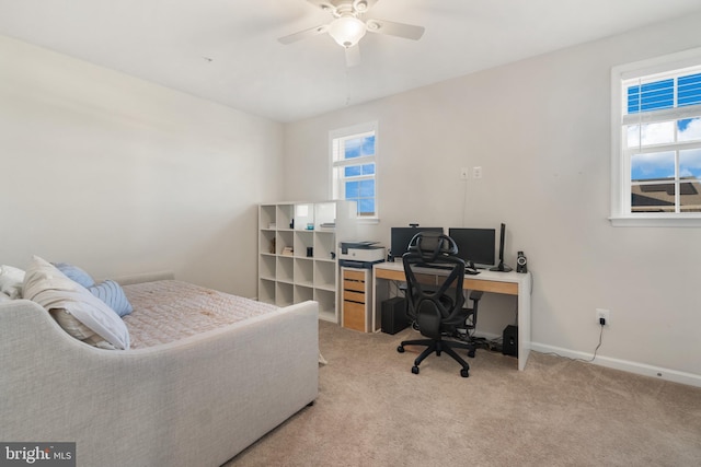 carpeted office with ceiling fan and plenty of natural light