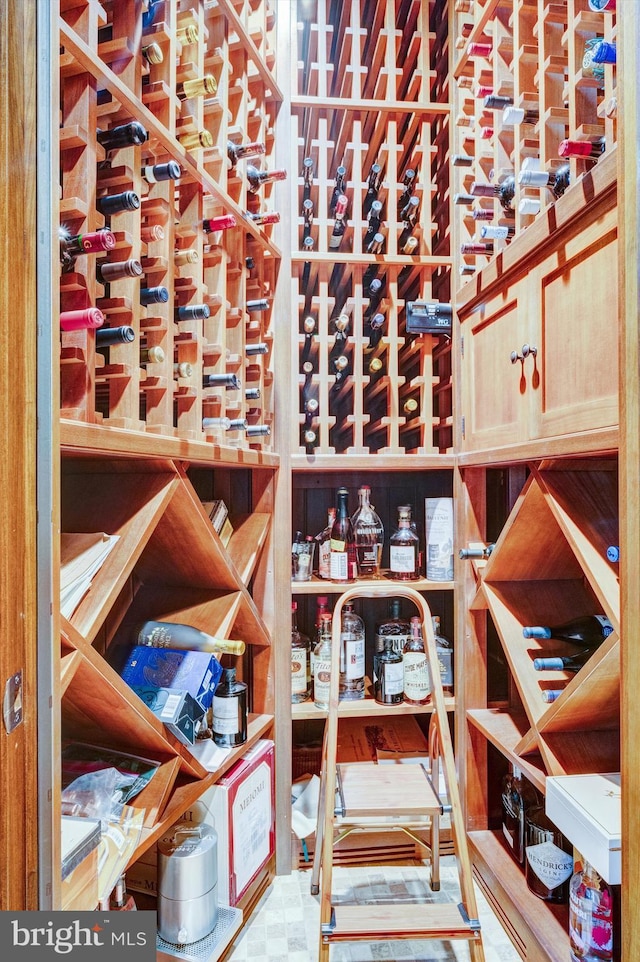 view of wine cellar