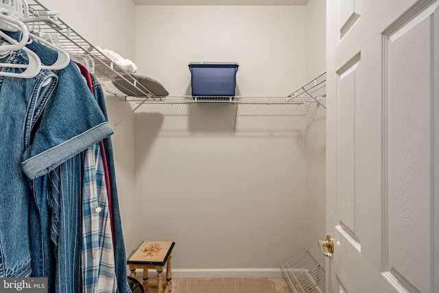 walk in closet with carpet flooring