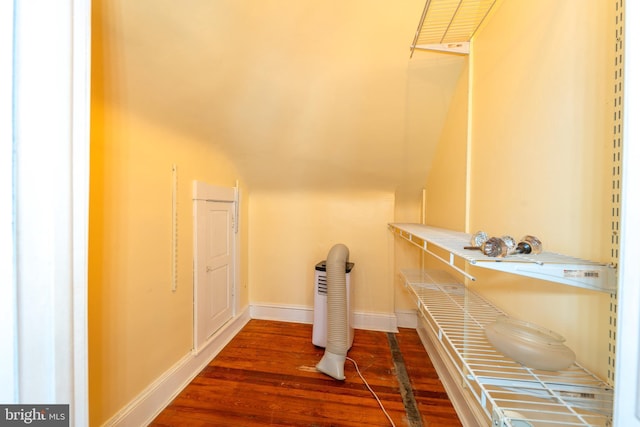 walk in closet with wood-type flooring