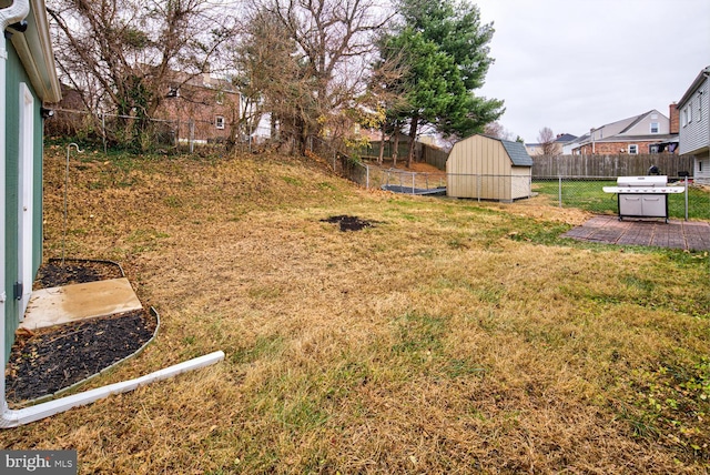 view of yard with a shed