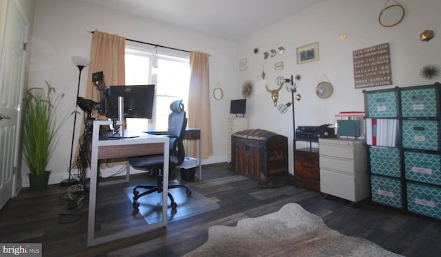 office space featuring dark hardwood / wood-style flooring