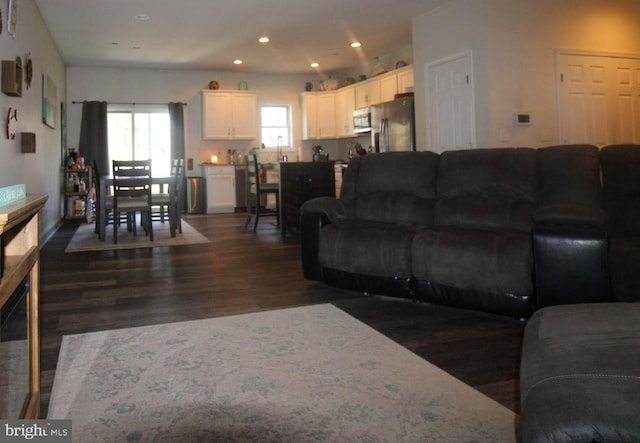 living room featuring sink and dark wood-type flooring