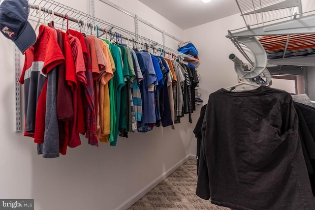 spacious closet featuring carpet