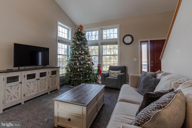 carpeted living room with high vaulted ceiling