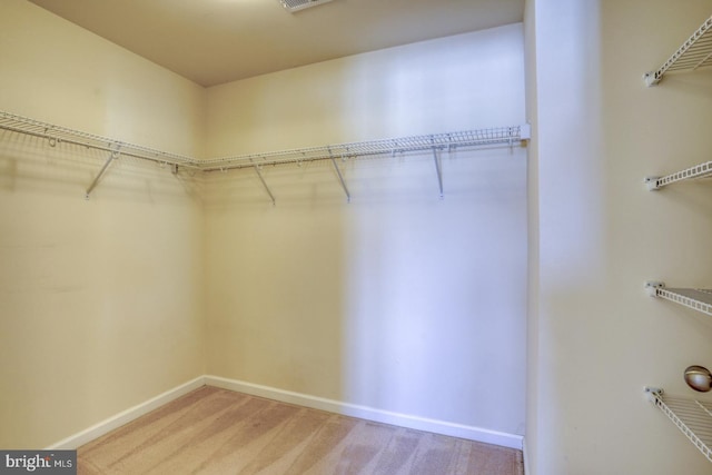 spacious closet featuring carpet floors