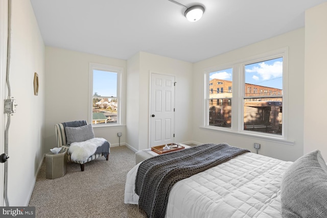 bedroom featuring carpet floors and multiple windows