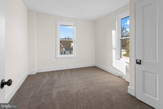 unfurnished room featuring carpet flooring and plenty of natural light