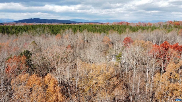 Gilbert Station Rd, Barboursville VA, 22923 land for sale