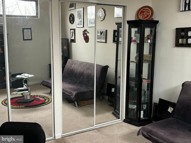 living area with carpet floors