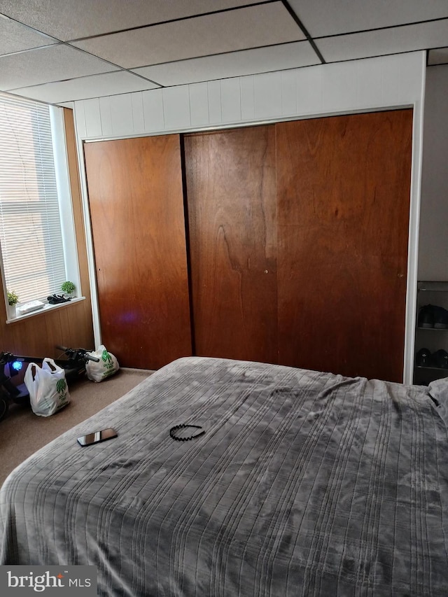 bedroom featuring a drop ceiling, wood walls, carpet floors, and a closet